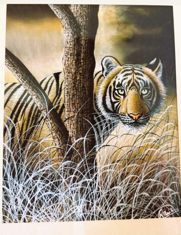 “The Unblinking Gaze – Tiger of the Silent Wild”