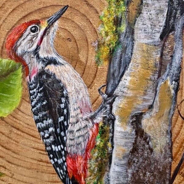 Whispering Woods – Hand-Painted Woodpecker on Sheesham Wood Plank